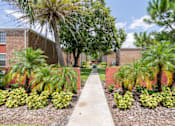 Thumbnail 19 of 20 - A pathway leads through a landscaped area with palm trees and shrubs.