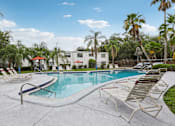 Thumbnail 18 of 21 - A pool surrounded by palm trees and lounge chairs.