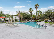 Thumbnail 17 of 21 - A pool surrounded by palm trees and lounge chairs.