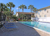 Thumbnail 15 of 17 - A pool surrounded by palm trees and chairs.