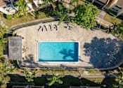 Thumbnail 24 of 33 - An aerial view of a swimming pool surrounded by palm trees.