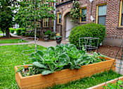 Thumbnail 6 of 16 - a garden in a yard in front of a brick building