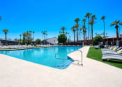Thumbnail 35 of 95 - the swimming pool at the resort at longboat key club at Presidio Palms Apartments, Tucson, Arizona