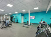Thumbnail 52 of 95 - a gym with weights and cardio equipment and a tv at Presidio Palms Apartments, Tucson