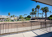 Thumbnail 81 of 95 - A view from a balcony looking out at palm treesat Presidio Palms Apartments, Tucson, AZ