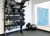Thumbnail 61 of 95 - a gym with weights and a rack of balls and a window at Presidio Palms Apartments, Tucson, AZ, 85701