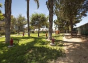 Thumbnail 6 of 38 - dog park at Villas at the park apartments