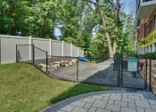 Thumbnail 40 of 80 - a dog park in a yard with a fence and a dog
