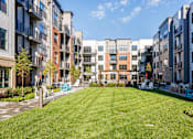 Thumbnail 35 of 61 - A grassy area in front of apartment buildings.