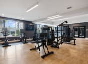 Thumbnail 25 of 61 - a gym with weights and exercise equipment in a room with windows