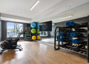 Thumbnail 27 of 61 - a home gym with weights and mirrors and a window