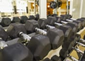 Thumbnail 16 of 80 - a row of dumbbells in a gym