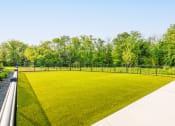 Thumbnail 28 of 44 - a grassy area with a fence and trees in the background