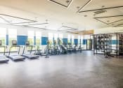 Thumbnail 23 of 44 - a large fitness room with cardio machines and weights