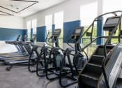 Thumbnail 22 of 44 - a row of cardio machines in a gym