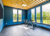 Thumbnail 24 of 44 - an exercise room with blue walls and a yellow ceiling
