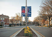 Thumbnail 25 of 28 - A city street with a sign that says protest and a sign that says flash.