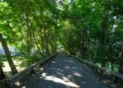 Thumbnail 8 of 28 - Bike Path