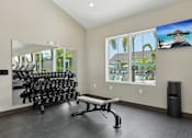 Thumbnail 27 of 62 - A gym with a row of dumbbells and a bench.