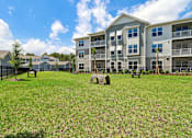 Thumbnail 87 of 124 - Fenced dog park with tunnel and green lawn at Velara Luxury Apartments, Ponte Vedra Beach, FL 32081