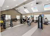 Thumbnail 4 of 20 - A gym with a variety of equipment including treadmills, weights, and exercise machines.