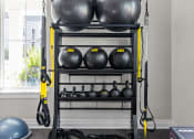 Thumbnail 31 of 58 - a fitness room with a rack of weights and cardio equipment at Palm Grove in Ellenton, FL 34222