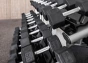 Thumbnail 32 of 58 - a row of dumbbells in a gym at Palm Grove in Ellenton, FL 34222