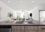 Thumbnail 11 of 58 - a modern kitchen with a large sink and a living room in the background at Palm Grove in Ellenton, FL 34222