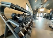 Thumbnail 12 of 88 - a row of dumbbells in a gym at The Depot, Raymore, 64083