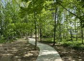 Thumbnail 43 of 45 - a path in the middle of a forest with trees at The BLVD at Wilson Crossings, Michigan