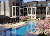 Thumbnail 2 of 48 - A swimming pool surrounded by lounge chairs and umbrellas in front of a building.