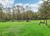 Thumbnail 38 of 49 - a grassy field with trees and a picnic table at Drift, Daytona Beach, FL, 32117