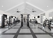 Thumbnail 33 of 36 - A spacious gym with a variety of equipment and a checkered floor.