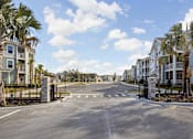 Thumbnail 9 of 36 - A street view of a residential area with houses on both sides and palm trees lining the street.
