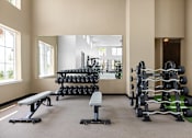 Thumbnail 67 of 68 - A gym with a variety of equipment including dumbbells, benches, and weight racks.