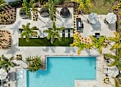 Thumbnail 3 of 68 - An aerial view of a pool surrounded by palm trees and lounge chairs.