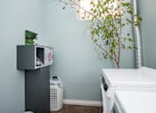 Thumbnail 2 of 8 - Laundry at 16 Edmonton Apartment Suites in Winnipeg, MB