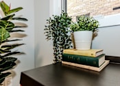 Thumbnail 24 of 40 - a stack of books sitting on top of a table with a plant