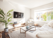 Thumbnail 3 of 32 - Living Room With Expansive Window at 1310 Archibald Apartments, Winnipeg, MB R2J 0Z4