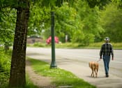 Thumbnail 57 of 74 - capitol walkway at Harbor Heights 55+ Community, Washington, 98501