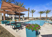Thumbnail 20 of 24 - Poolside Lounge Area at Avilla Gateway, Arizona, 85037