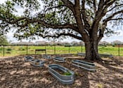 Thumbnail 5 of 22 - Community Garden at Avilla Berry Creek Highlands, Georgetown, TX 78633