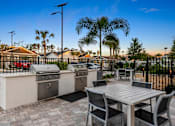 Thumbnail 9 of 16 - Outdoor Grill Area at Avilla Cypress Creek, Sun City Center, FL 33573