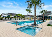 Thumbnail 19 of 21 - Resort Style Pool & Hot Tub at Avilla Suncoast Apartments, Florida