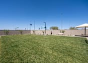 Thumbnail 4 of 17 - On-Site Dog Park at Avilla Marigold, Buckeye, AZ 85396