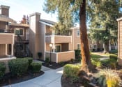 Thumbnail 17 of 32 - our apartments have a spacious courtyard with trees and bushes