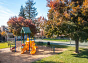 Thumbnail 14 of 32 - a playground in a park with a tree