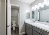 Thumbnail 31 of 32 - the preserve at ballantyne commons apartments bathroom with sink and toilet