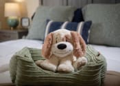 Thumbnail 15 of 31 - a stuffed dog is sitting on a bed at The Fountains Apartments, Pensacola, Florida, 32514