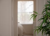 Thumbnail 17 of 31 - a room with a plant and a window at The Fountains Apartments, Pensacola, 32514